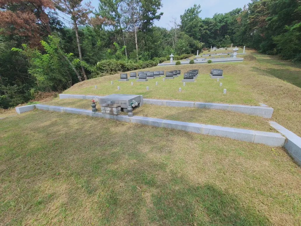 칠곡군 지천면 문중 산소 벌초하고 왔습니다. (벌초 가격) 작업 사진 8