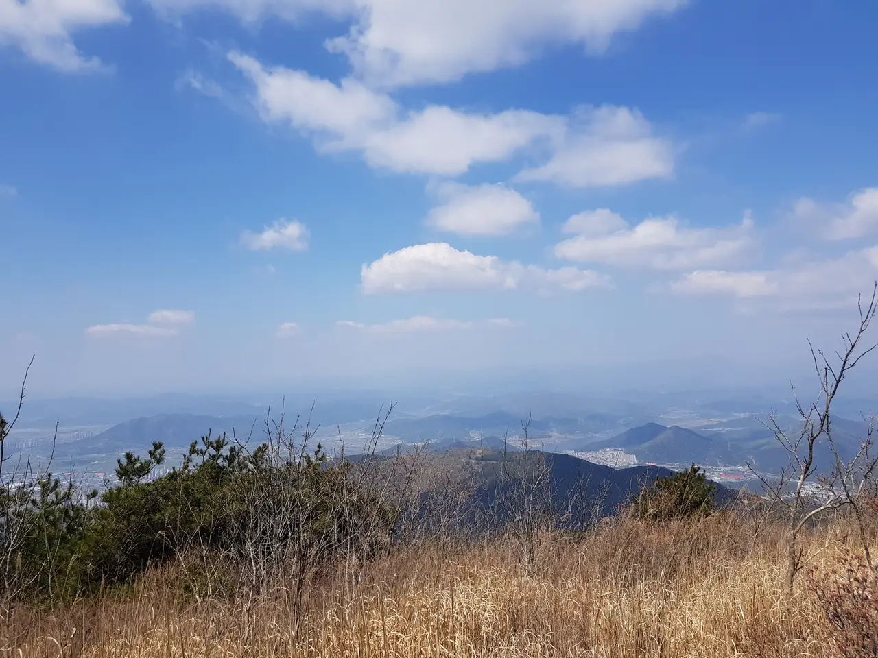 2020년 아쉬운 비슬산 참꽃. 유가사=>천왕봉=>참꽃군락지=>유가사 코스 작업 사진 22