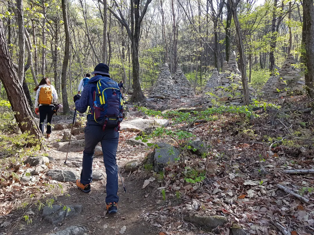 2020년 아쉬운 비슬산 참꽃. 유가사=>천왕봉=>참꽃군락지=>유가사 코스 작업 사진 14