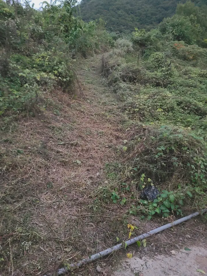 (벌초 대행) 영천시 고경면, 대창면, 북안면, 신녕면, 임고면, 청통면, 화남면, 화북면, 화산면 벌초 후기. 가격. 작업 사진 46