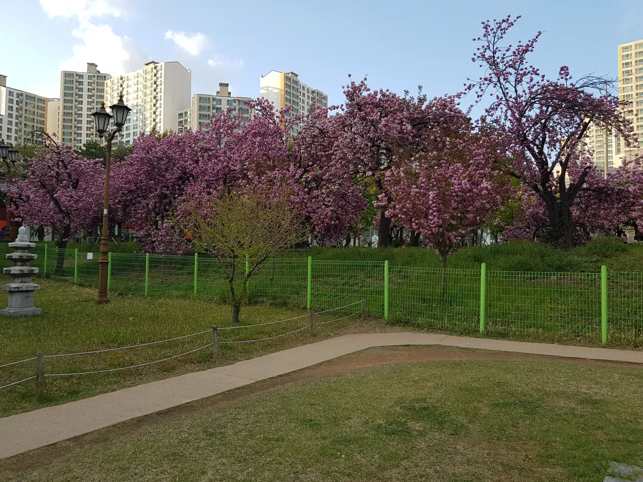 (4점) 대구 달서구 상인동 4월 겹벚꽃 보기 좋은 곳 '월곡역사공원' 작업 사진 3
