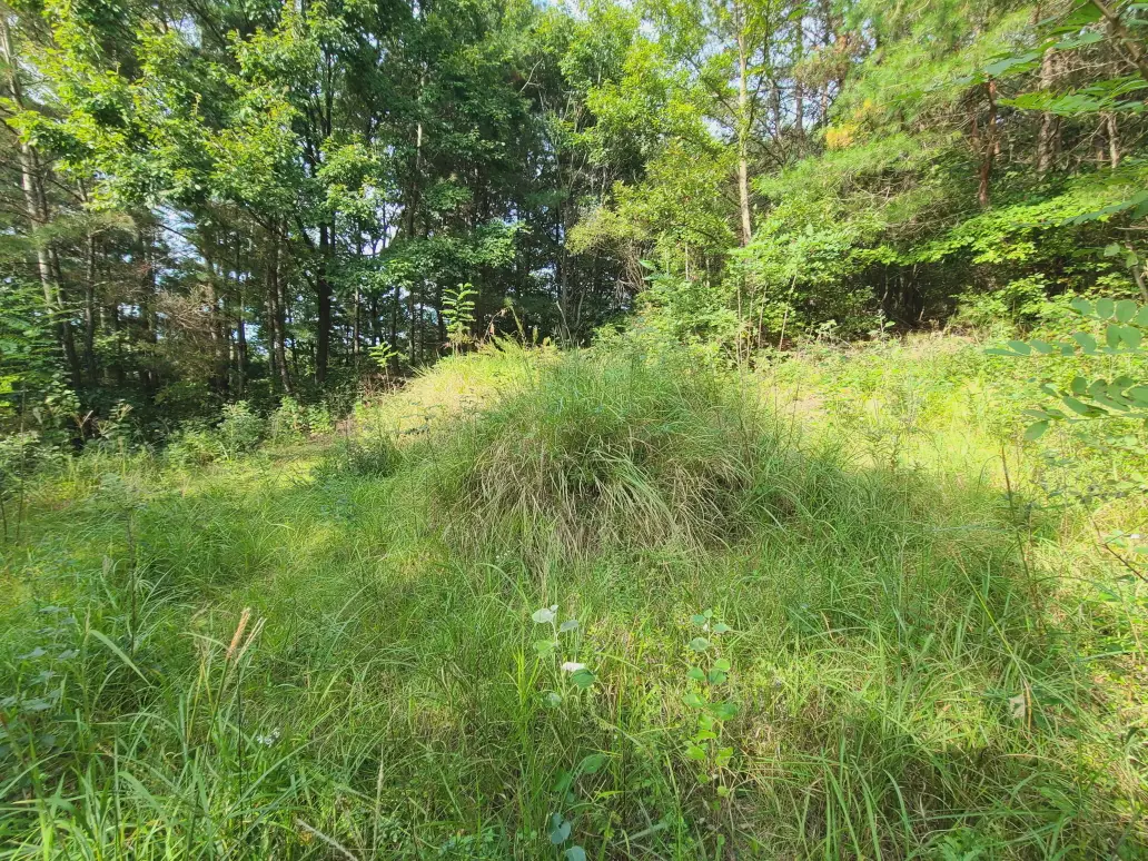 경산시 용성면, 자인면, 진량읍, 하양읍 벌초대행 짧은 후기. 작업 사진 9