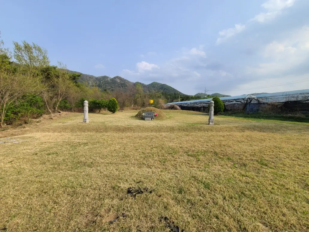 (영천벌초+잔디제초제) 영천시 금호읍 산소 벌초 대행. 벌초 가격. 작업 사진 8
