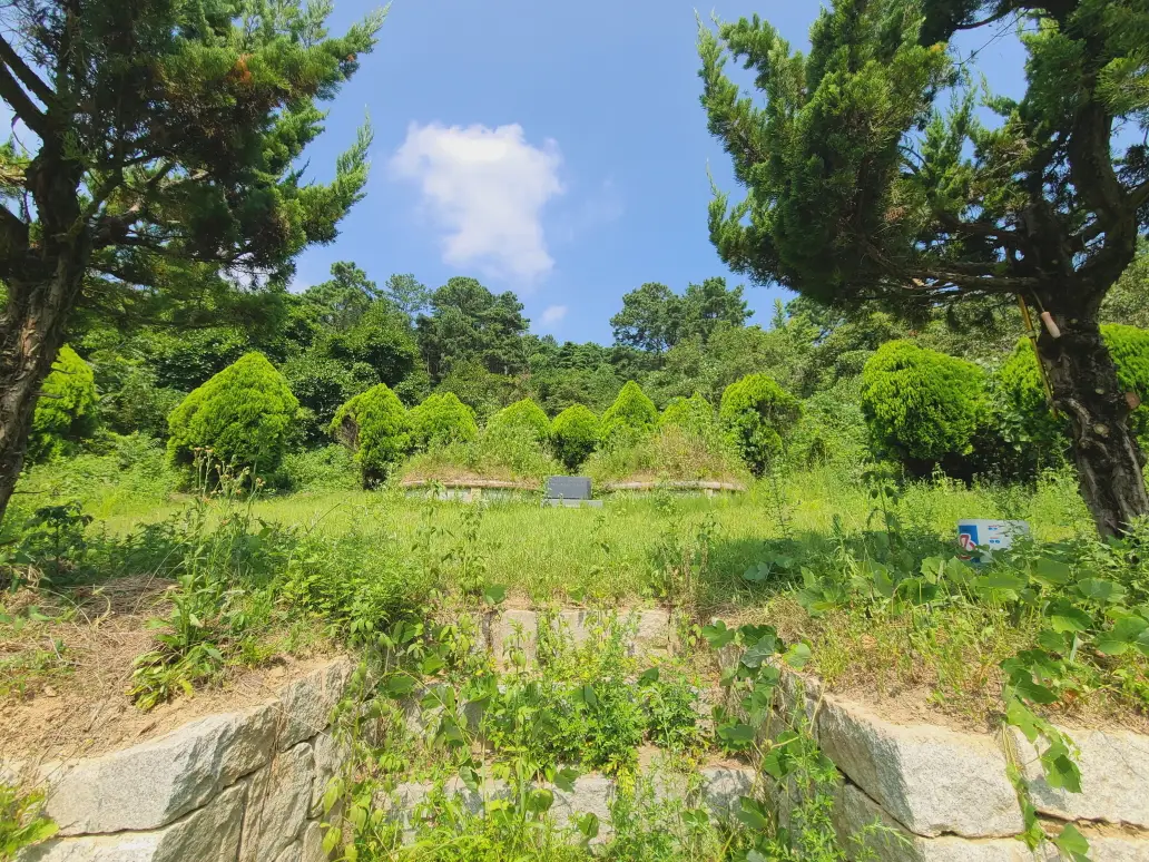 경산시 용성면 산소 벌초 대행 다녀왔습니다. 벌초가격. 작업 사진 3