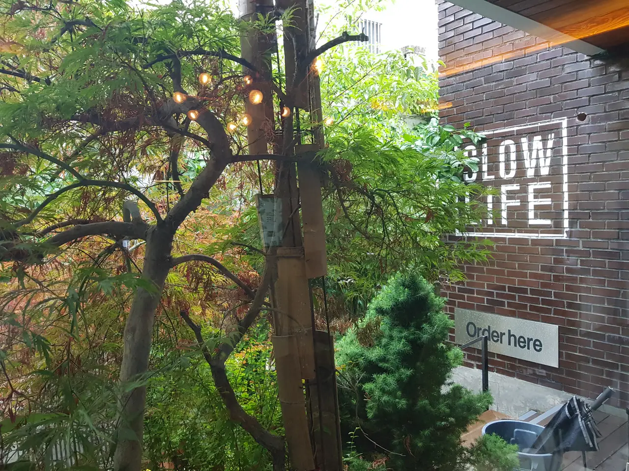 (4점) 대구 수성구 범어동 도심 속 자연 카페 '슬로우 라이프' 작업 사진 13