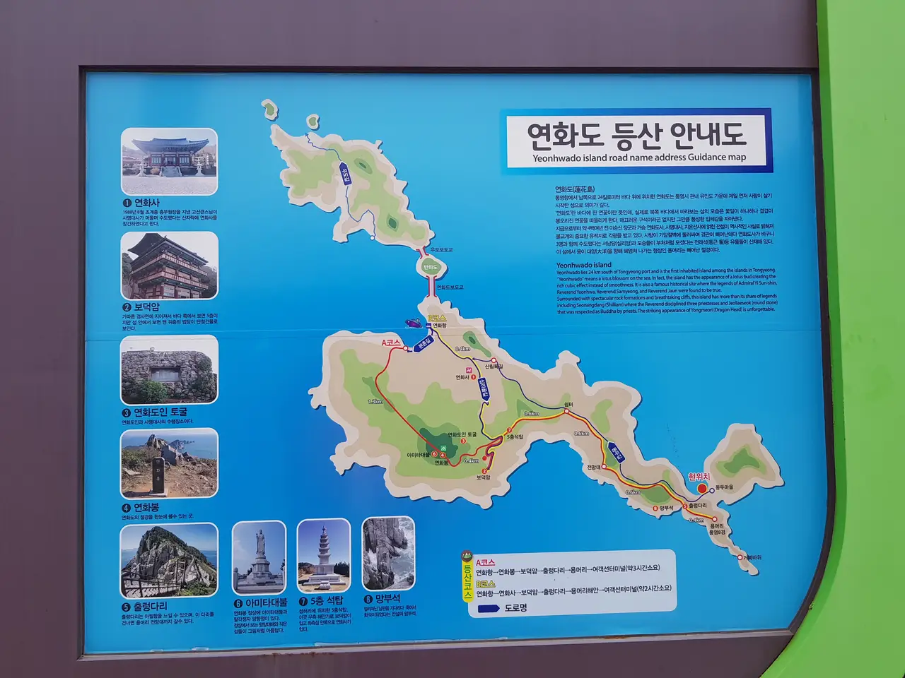 (5점) 6월 말~7월 초 경남 통영 추천 여행지. '연화도 수국 꽃 여행' 작업 사진 21