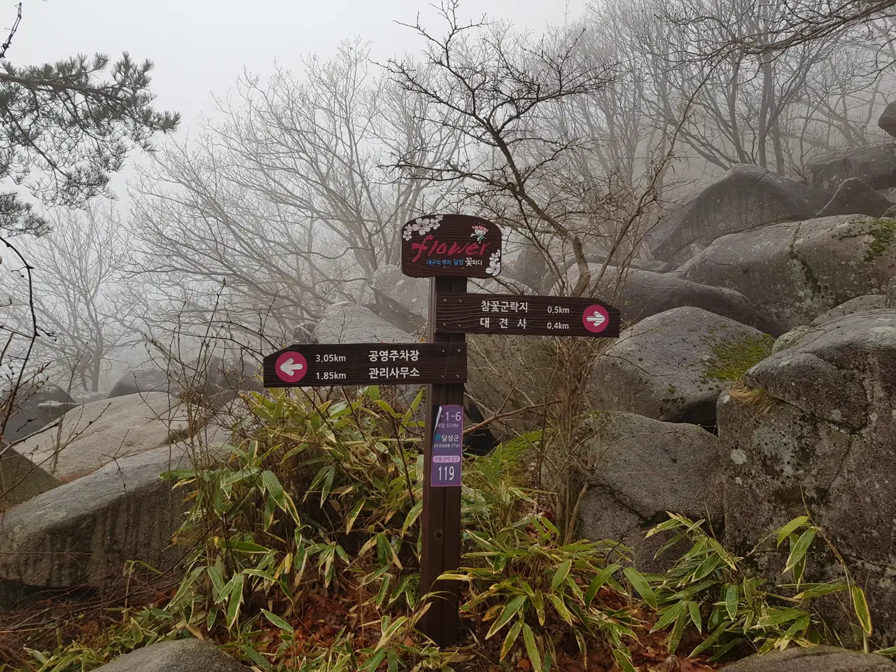 (5점) 대구 비슬산 참꽃. 비슬산자연휴양림 공영주차장->대견사 코스. 작업 사진 26