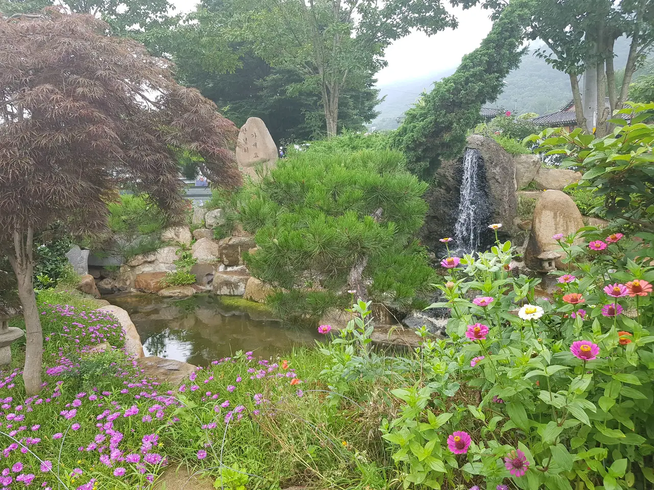 (5점) 경남 밀양 수타 들깨칼국수 맛집 '홍두깨칼국수' 작업 사진 5