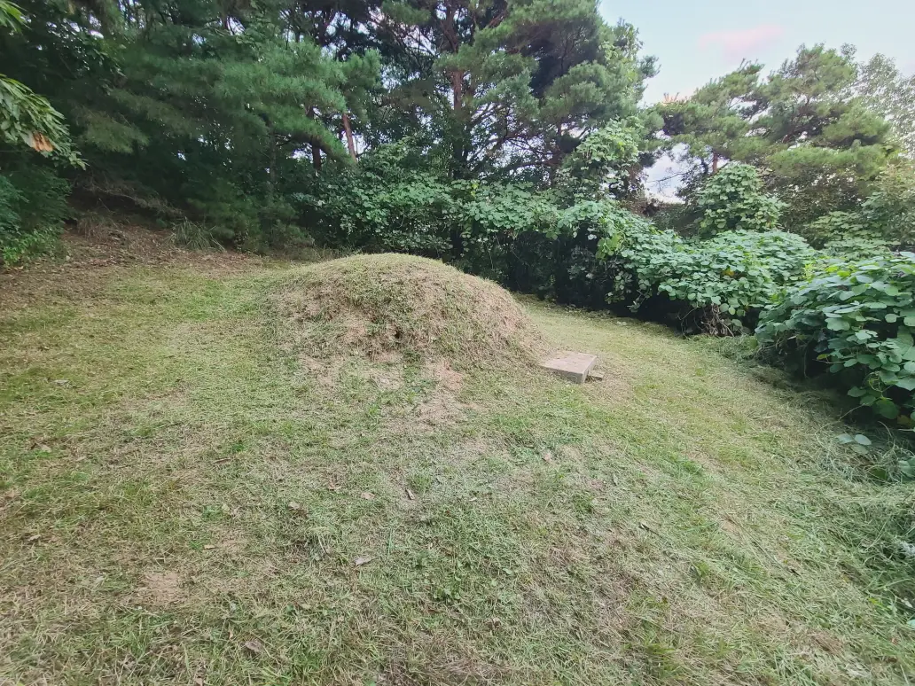 경산시 용성면, 자인면, 진량읍, 하양읍 벌초대행 짧은 후기. 작업 사진 2