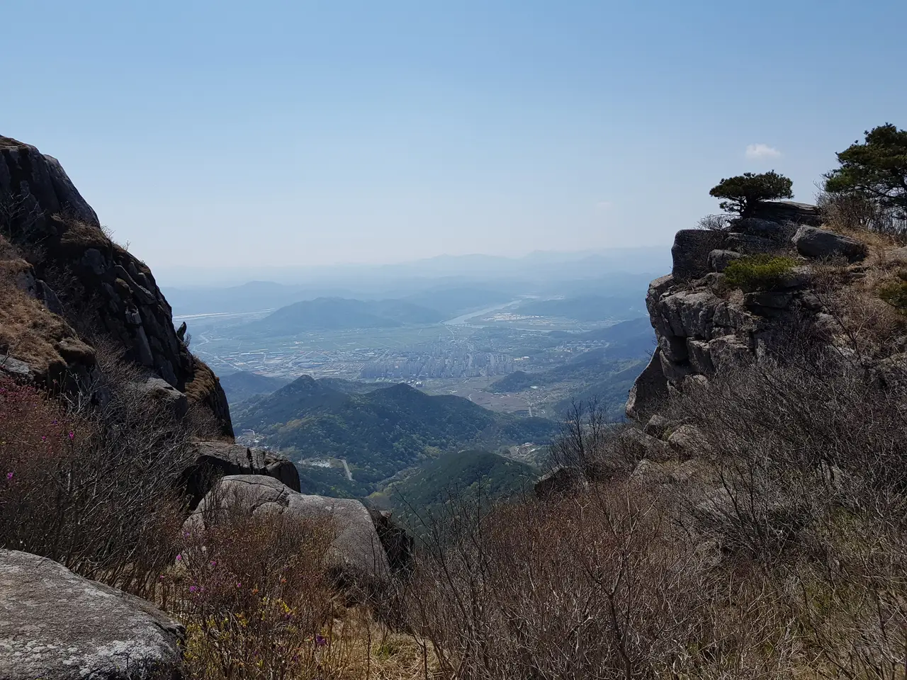 2020년 아쉬운 비슬산 참꽃. 유가사=>천왕봉=>참꽃군락지=>유가사 코스 작업 사진 69