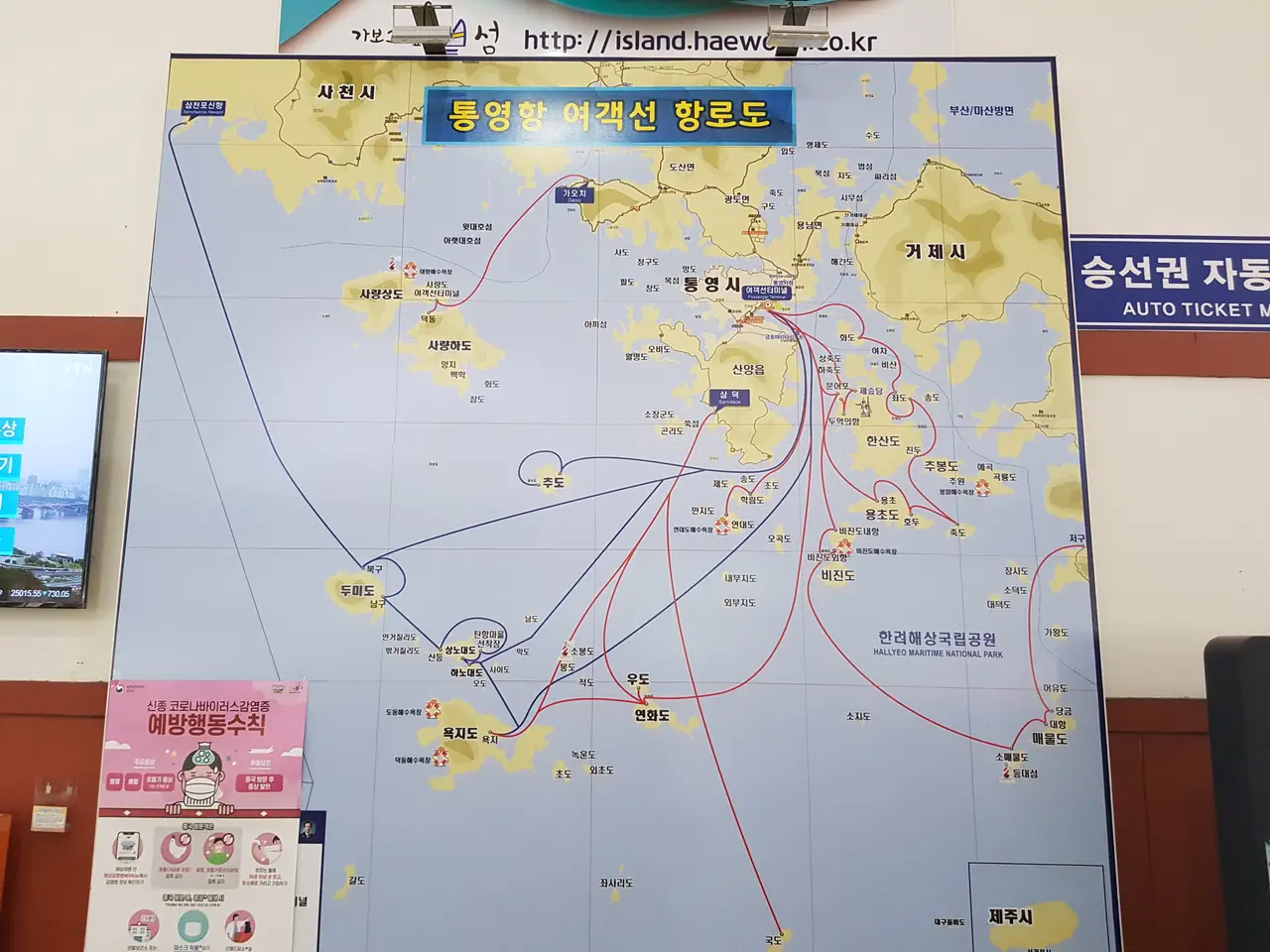(5점) 6월 말~7월 초 경남 통영 추천 여행지. '연화도 수국 꽃 여행' 작업 사진 13