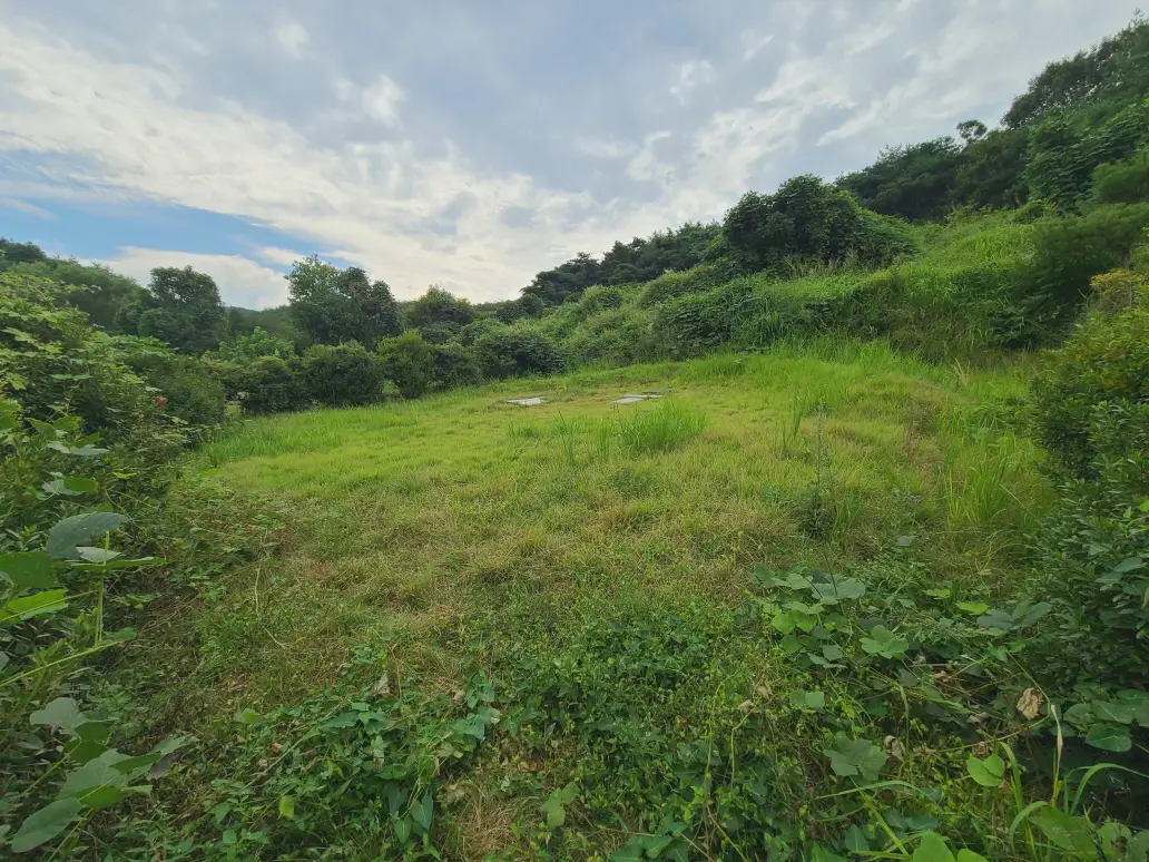 (벌초 대행) 영천시 고경면, 대창면, 북안면, 신녕면, 임고면, 청통면, 화남면, 화북면, 화산면 벌초 후기. 가격. 작업 사진 29