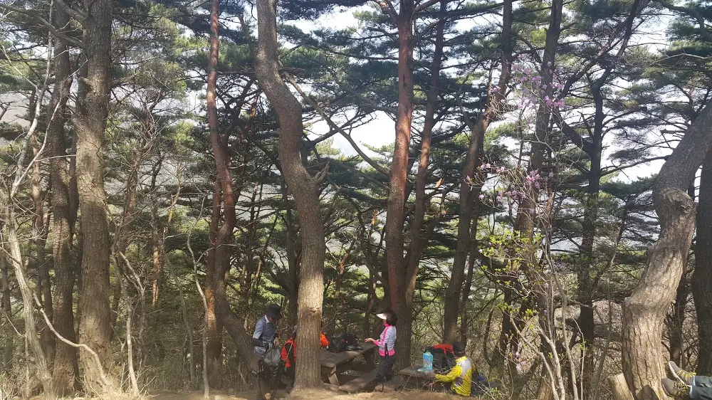 <대구 \"팔공산케이블카\"> 케이블카 타고 올라가서 낙타봉까지~ 작업 사진 19
