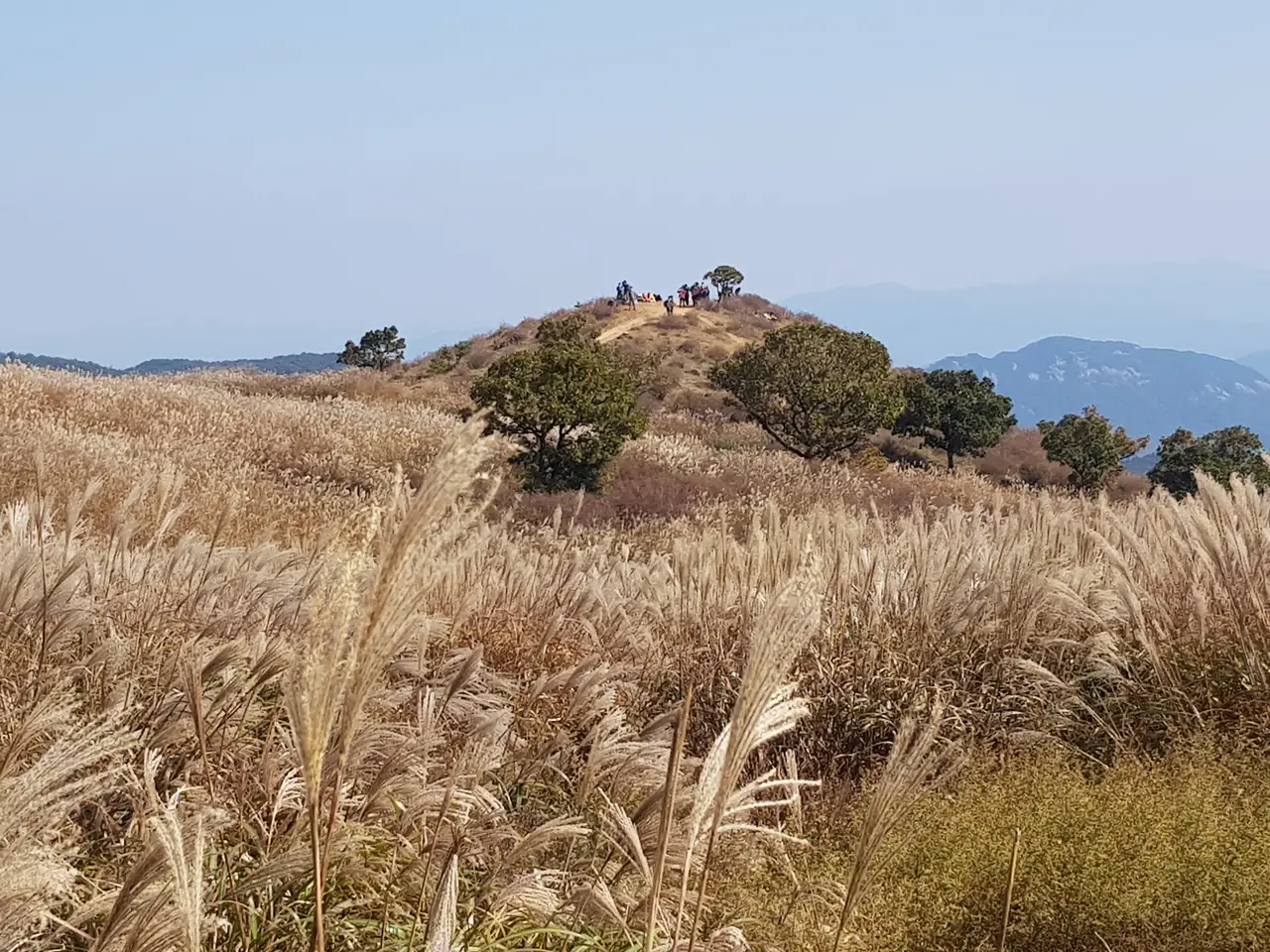 (5점) 경남 합천 황매산 억새 군락지. 가을철 여행가기 좋은 곳. 작업 사진 11