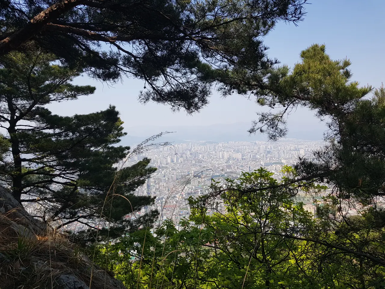 (앞산 등산 다이어트 1일차) 시작은 90kg입니다. 작업 사진 10
