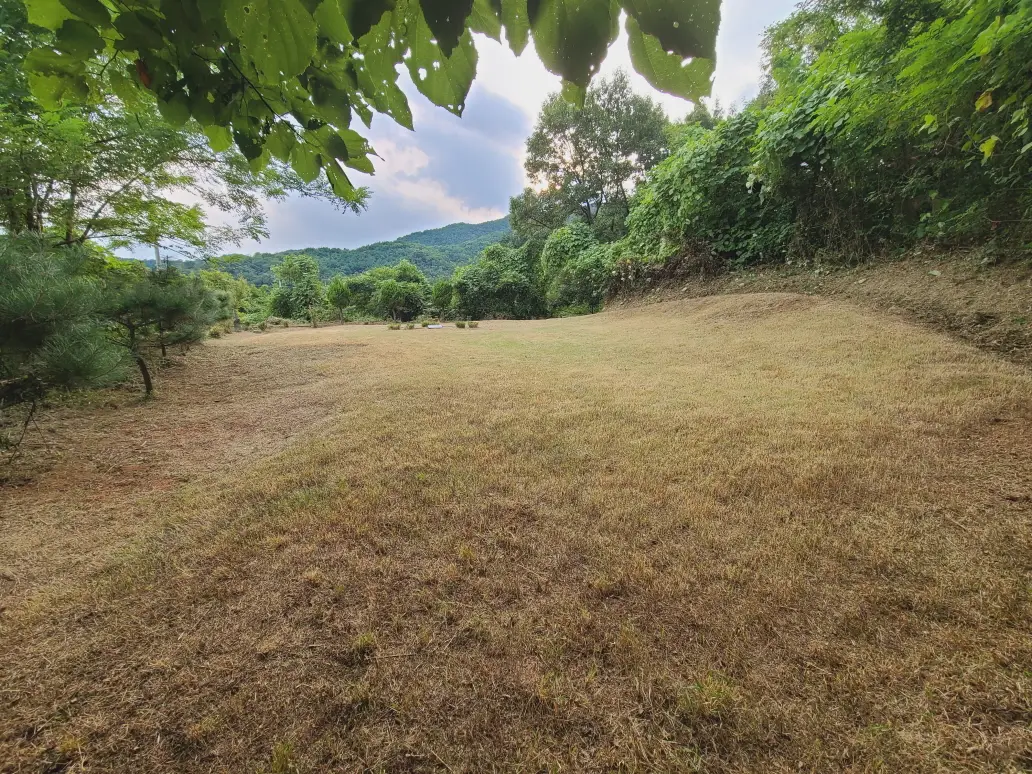 (벌초 대행) 대구 달성군 구지면, 다사읍 / 동구 내곡동, 신무동 / 수성구 만촌동 벌초 짧은 후기. 벌초 가격. 작업 사진 14