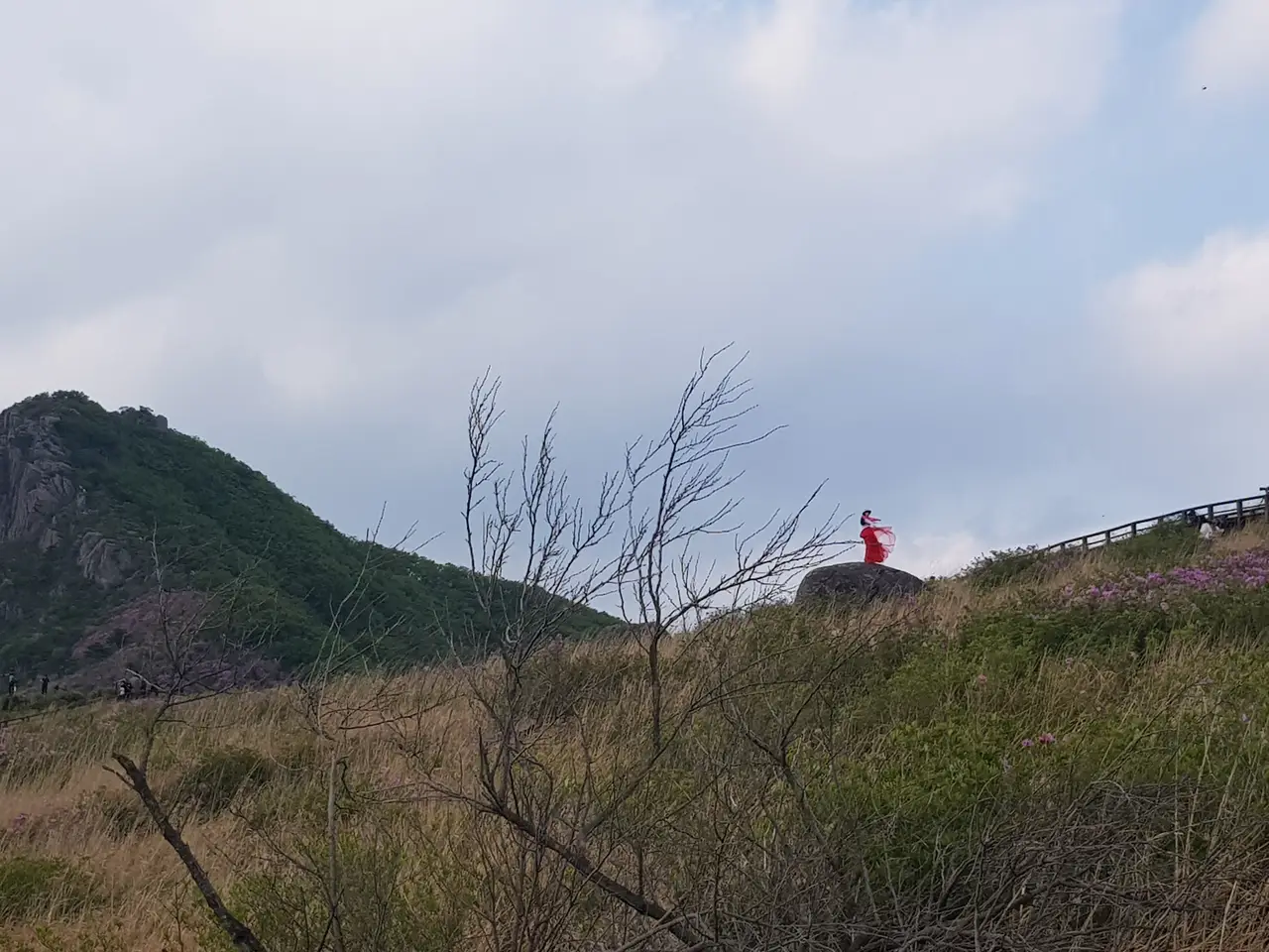 (5점) 2022년 5월 7일 기준 황매산 철쭉. 산청으로 올라감. 작업 사진 6