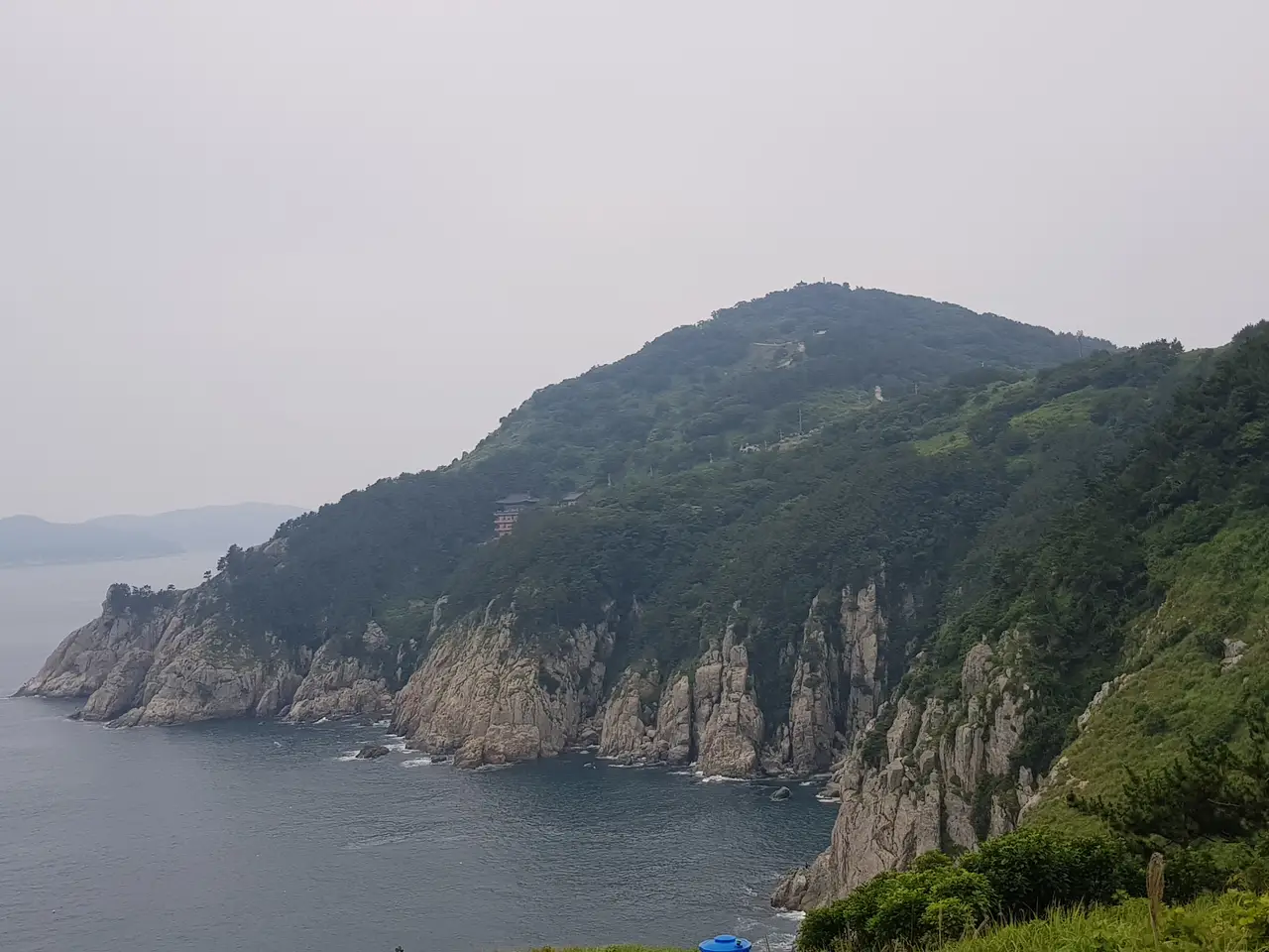 (5점) 6월 말~7월 초 경남 통영 추천 여행지. '연화도 수국 꽃 여행' 작업 사진 42