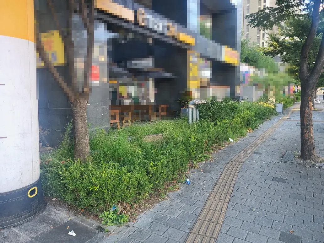 (아파트 상가 화단 벌초) 대구 북구 아파트 단지 상가 앞 화단 벌초. 작업 사진 4