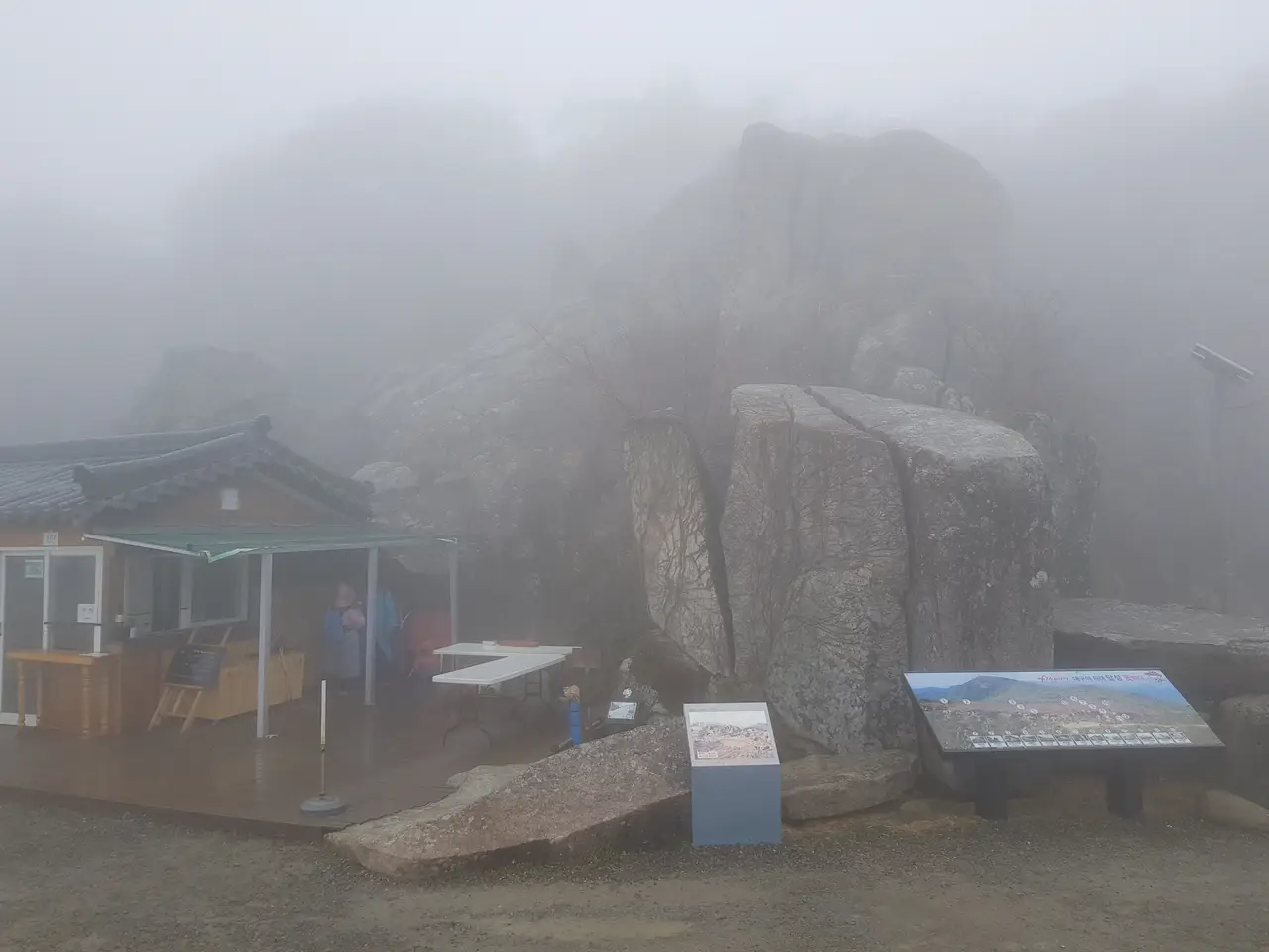 (5점) 대구 비슬산 참꽃. 비슬산자연휴양림 공영주차장->대견사 코스. 작업 사진 30
