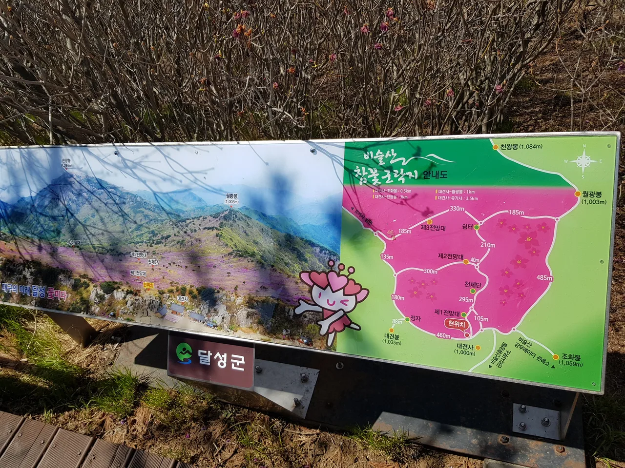 2020년 아쉬운 비슬산 참꽃. 유가사=>천왕봉=>참꽃군락지=>유가사 코스 작업 사진 46