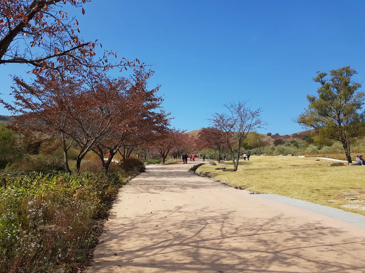 (5점) 경남 합천 황매산 억새 군락지. 가을철 여행가기 좋은 곳. 작업 사진 4