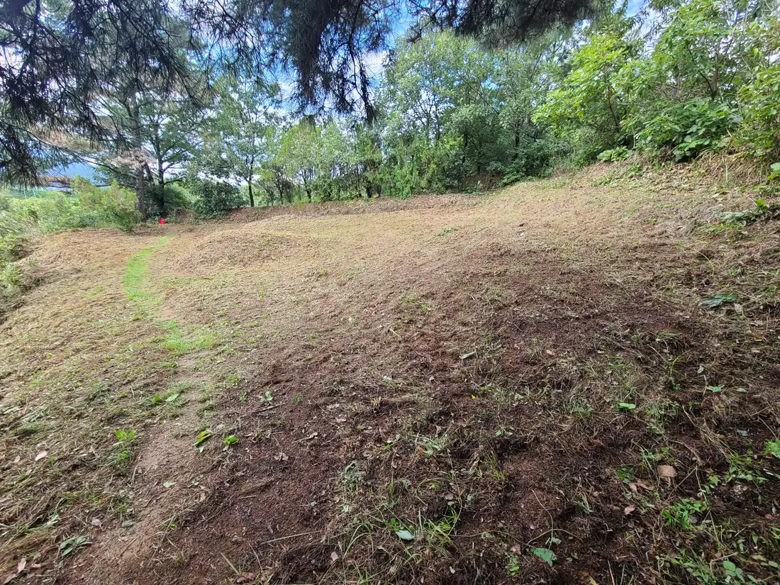 (벌초 대행) 영천 신녕면 화성리, 대창면 직천리, 청통면 치일리 벌초 작업 사진 2