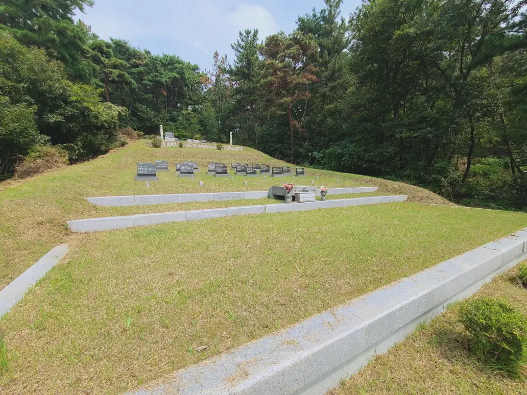 칠곡군 지천면 문중 산소 벌초하고 왔습니다. (벌초 가격) 작업 사진 12