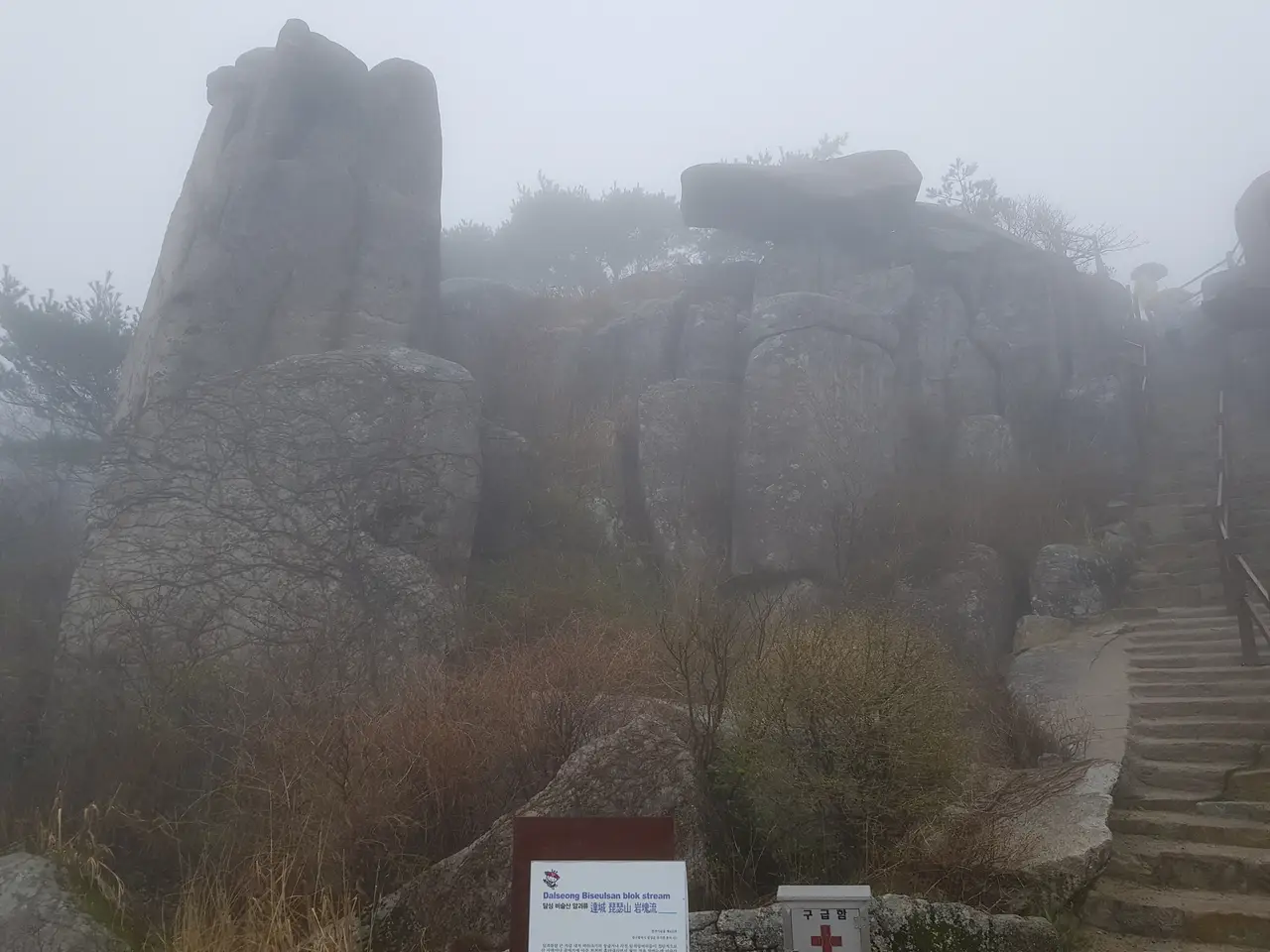 (5점) 대구 비슬산 참꽃. 비슬산자연휴양림 공영주차장->대견사 코스. 작업 사진 35