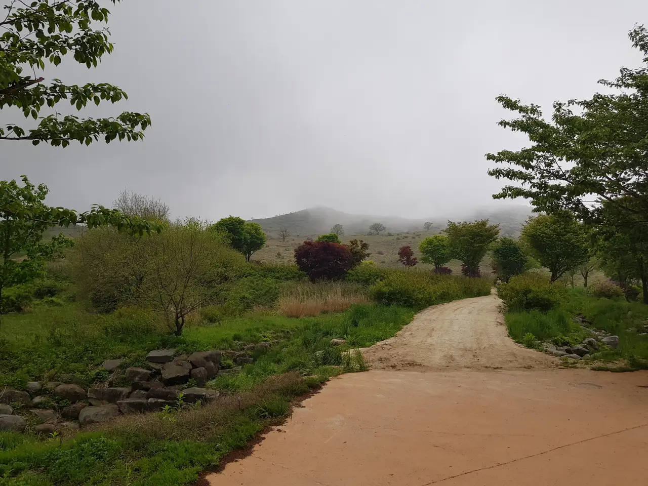 (5점) 5월 놓치면 안 되는 봄꽃 여행지 경남 합천 '황매산 철쭉' 작업 사진 10