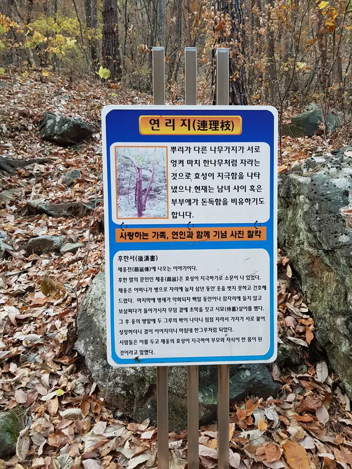 (4점) 울진군 북면 덕구온천. 트래킹 and 온천물 족욕 체험 '덕구계곡' 작업 사진 28
