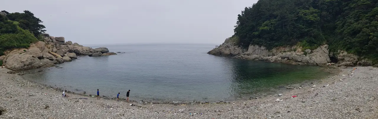 (5점) 6월 말~7월 초 경남 통영 추천 여행지. '연화도 수국 꽃 여행' 작업 사진 48