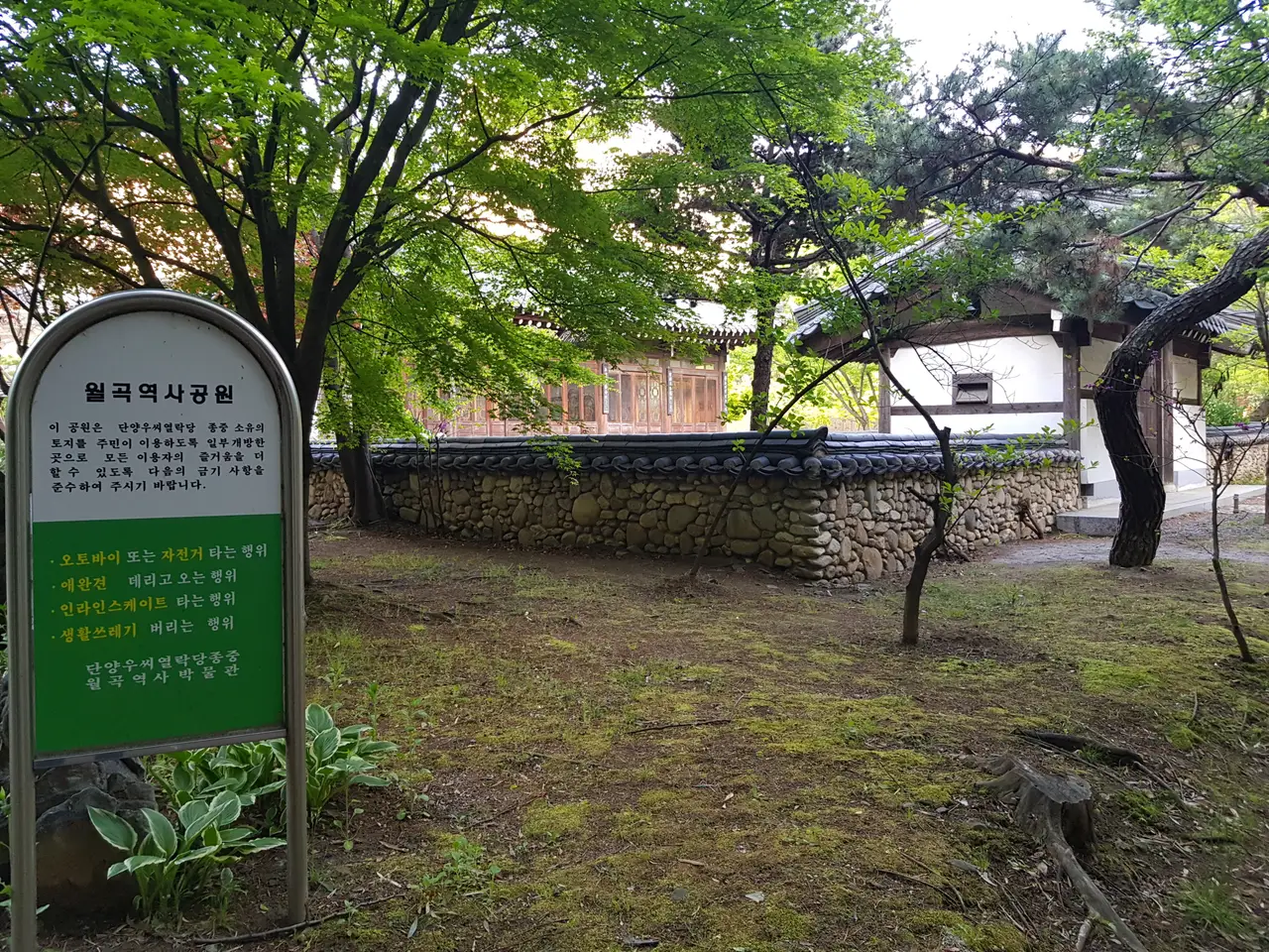 (4점) 대구 달서구 상인동 4월 겹벚꽃 보기 좋은 곳 '월곡역사공원' 작업 사진 14