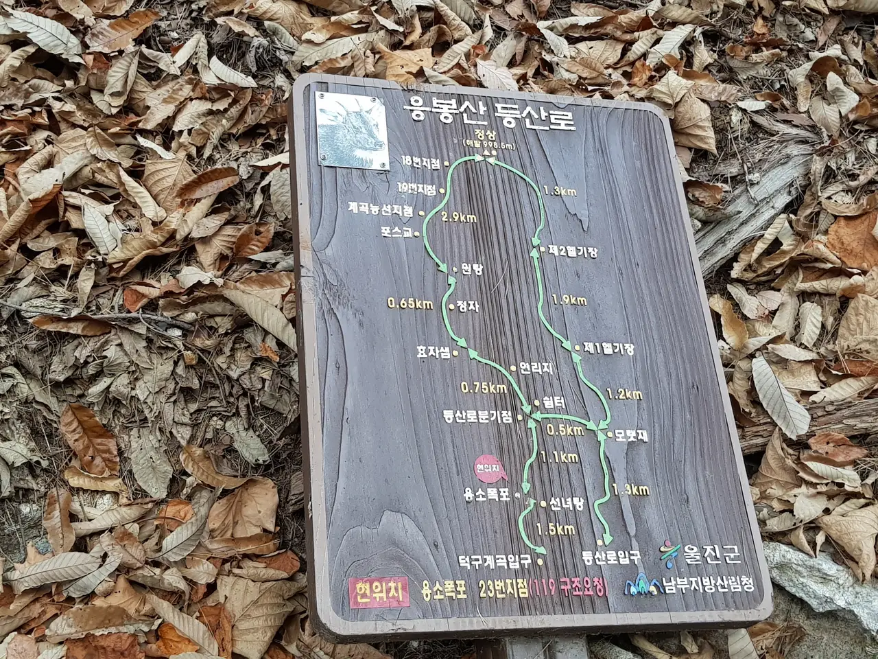 (4점) 울진군 북면 덕구온천. 트래킹 and 온천물 족욕 체험 '덕구계곡' 작업 사진 15
