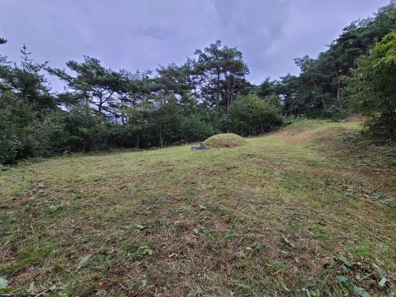 (벌초 대행) 영천시 화남면, 화북면 벌초 다녀왔습니다. 작업 사진 6