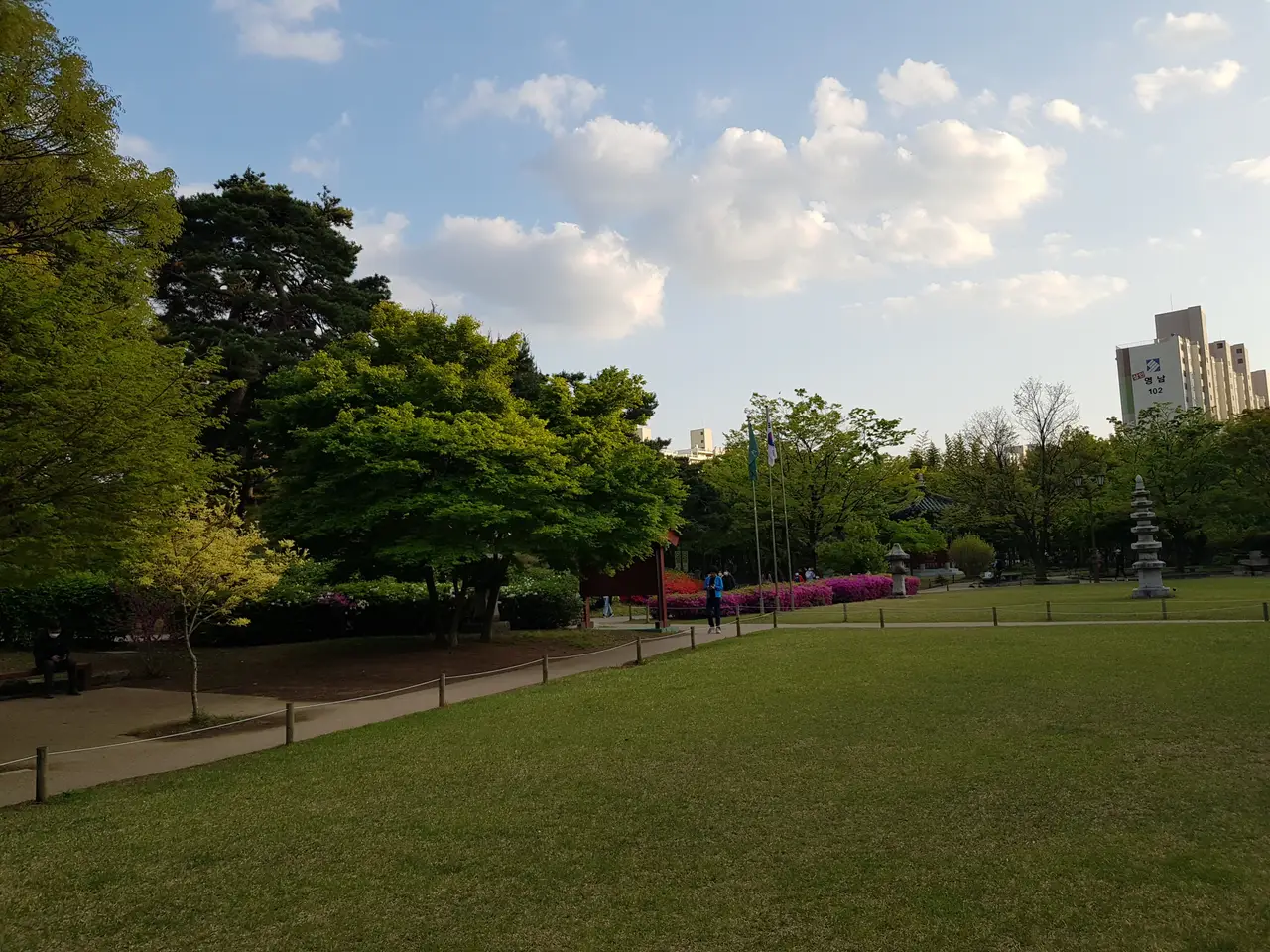 (4점) 대구 달서구 상인동 4월 겹벚꽃 보기 좋은 곳 '월곡역사공원' 작업 사진 9