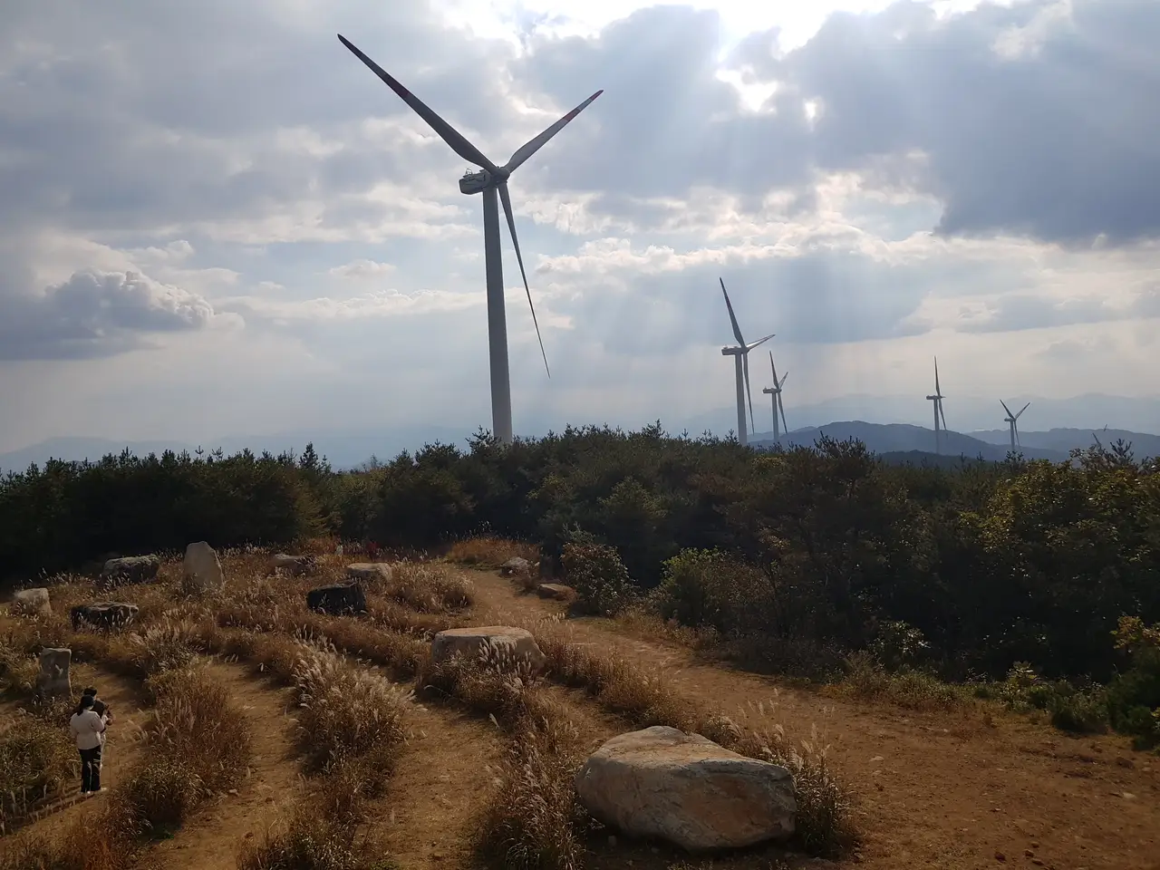 (1점) 경남 거창 감악산 국화. 분통 터지고 시간만 날리고 옴. 작업 사진 10