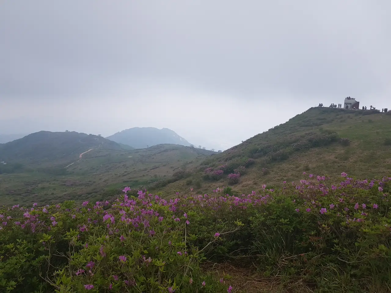 (5점) 5월 놓치면 안 되는 봄꽃 여행지 경남 합천 '황매산 철쭉' 작업 사진 31