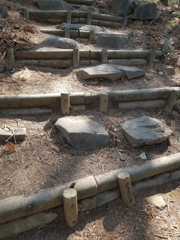 2020년 아쉬운 비슬산 참꽃. 유가사=>천왕봉=>참꽃군락지=>유가사 코스 작업 사진 18