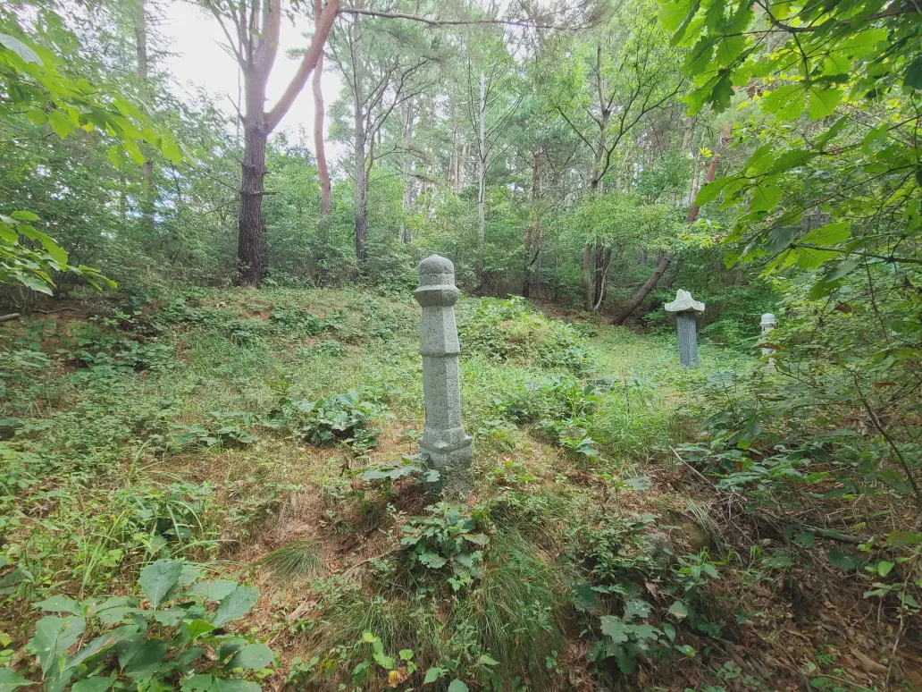 (벌초 대행) 영천시 고경면, 대창면, 북안면, 신녕면, 임고면, 청통면, 화남면, 화북면, 화산면 벌초 후기. 가격. 작업 사진 7