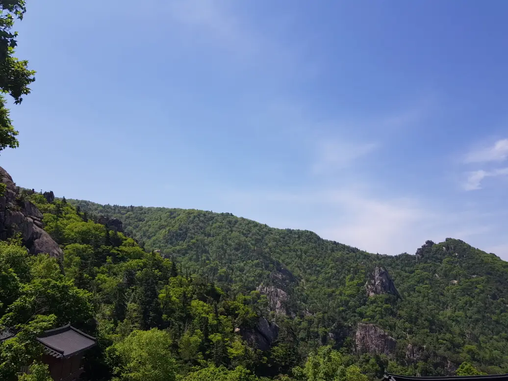 (5점) 6월 설악산 무박2일 등산 (오색->대청봉->소청->봉정암->영시암->백담사 코스) 작업 사진 28