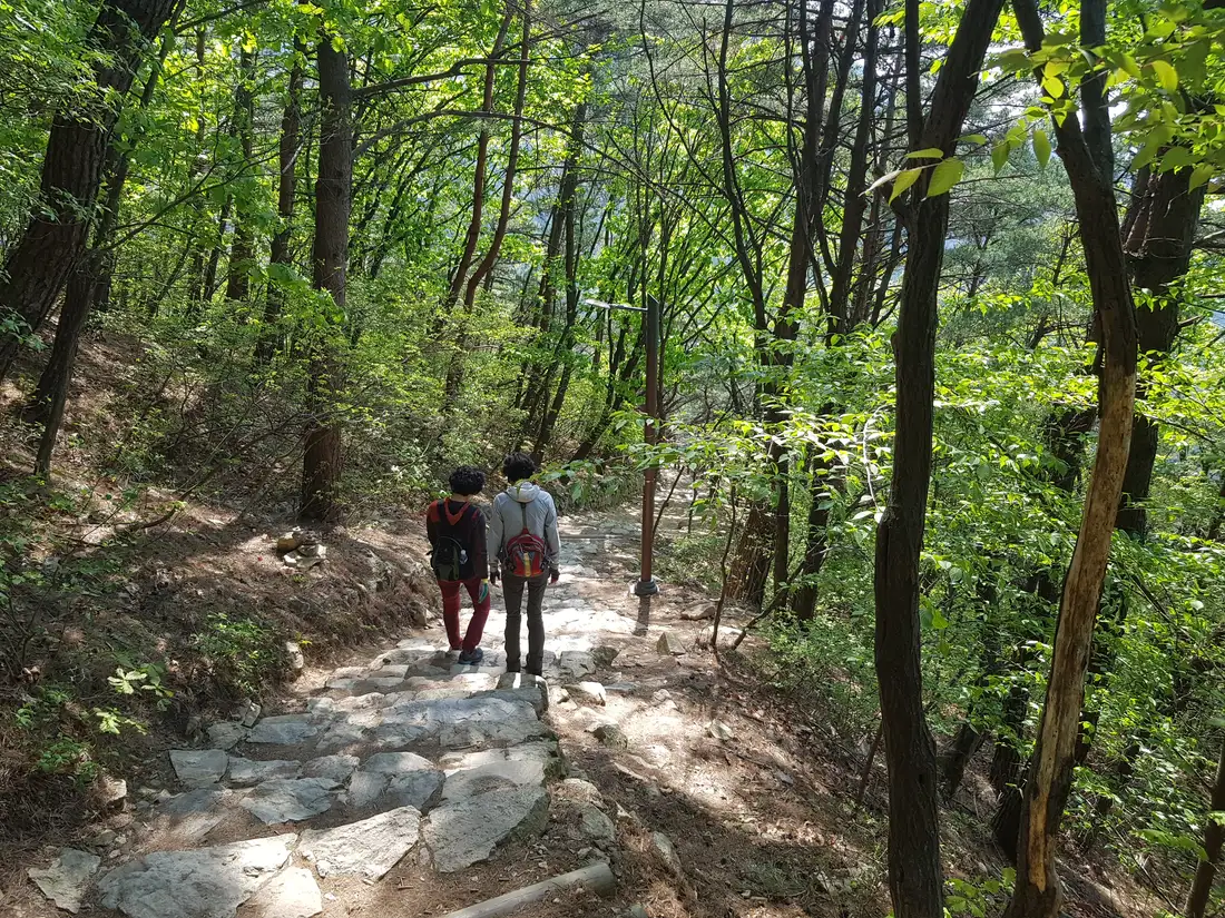 (앞산 등산 다이어트 1일차) 시작은 90kg입니다. 작업 사진 19