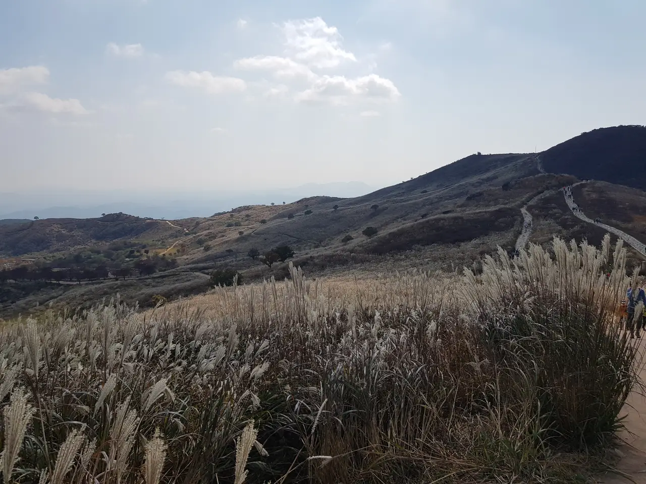 (5점) 경남 합천 황매산 억새 군락지. 가을철 여행가기 좋은 곳. 작업 사진 10