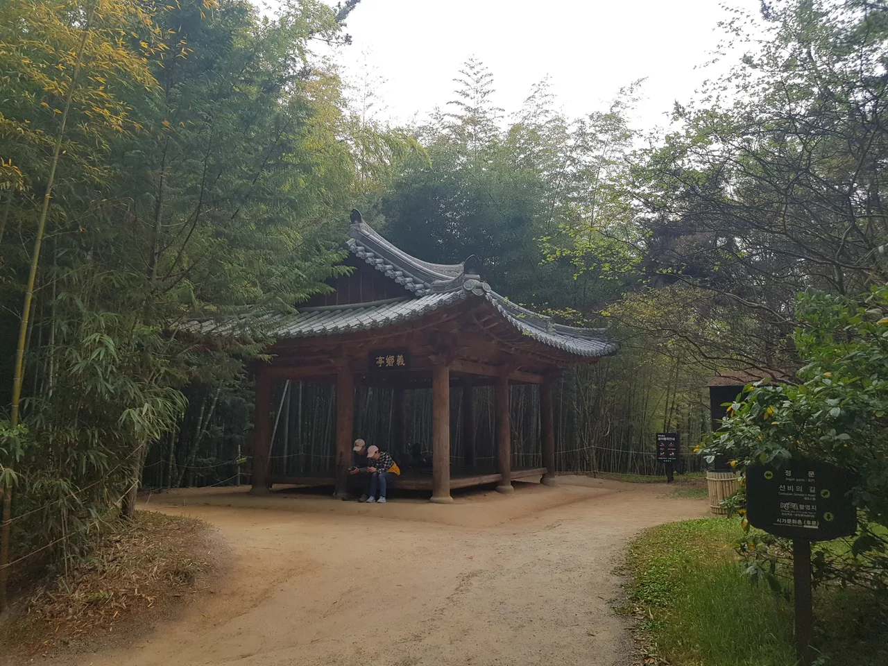 (5점) 전남 담양 '죽녹원' 이 정도는 되어야 대나무 숲이지~ 작업 사진 33