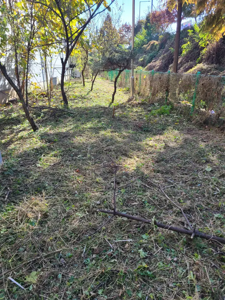 (공터, 나대지, 회사 벌초) 영천 도동, 임고면, 청통면, 대구 동구 벌초 후기. 작업 사진 10
