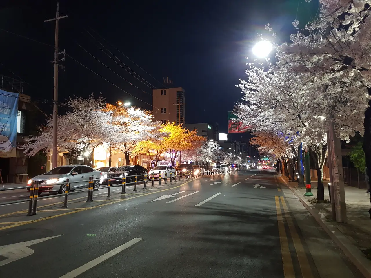 (4점) 이월드 벚꽃 대신하여 다녀온 앞산 벚꽃 로드 (만족!) 작업 사진 16