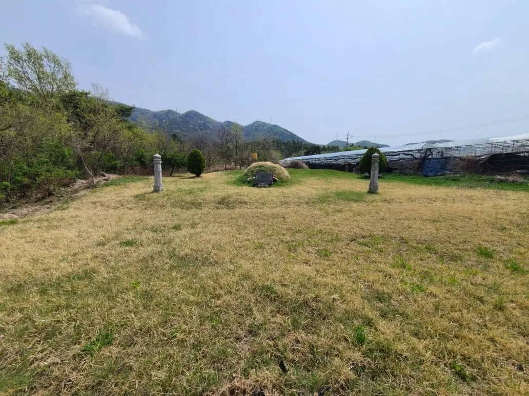 (영천벌초+잔디제초제) 영천시 금호읍 산소 벌초 대행. 벌초 가격. 작업 사진 7