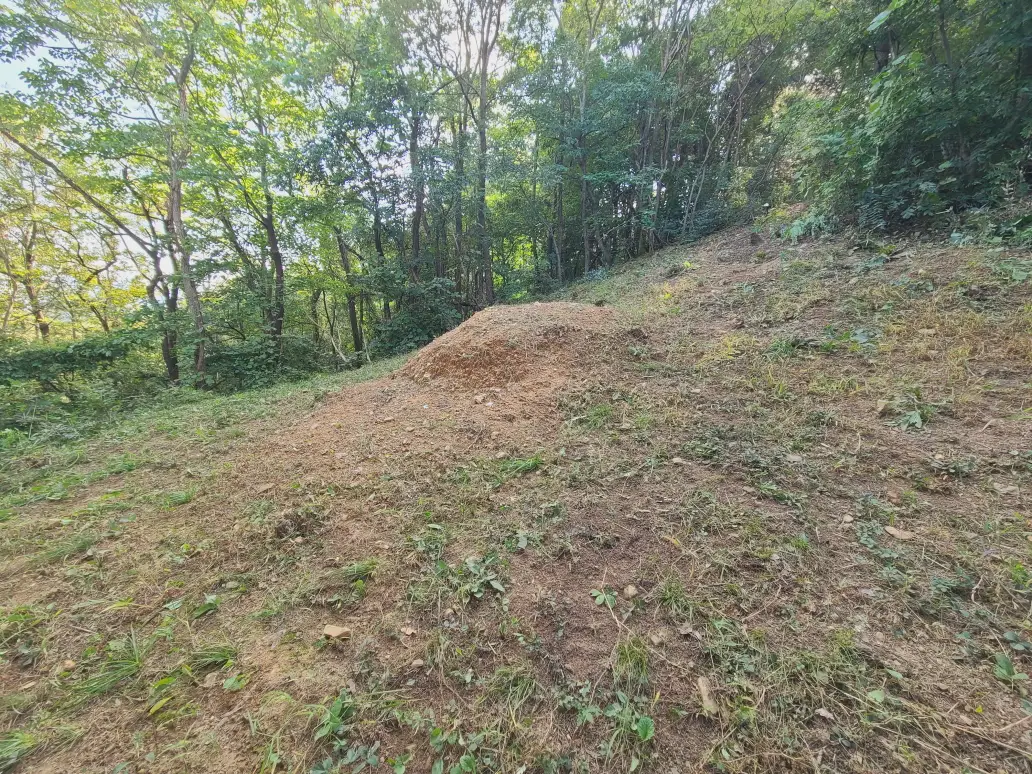 (벌초 대행) 대구 달성군 구지면, 다사읍 / 동구 내곡동, 신무동 / 수성구 만촌동 벌초 짧은 후기. 벌초 가격. 작업 사진 8