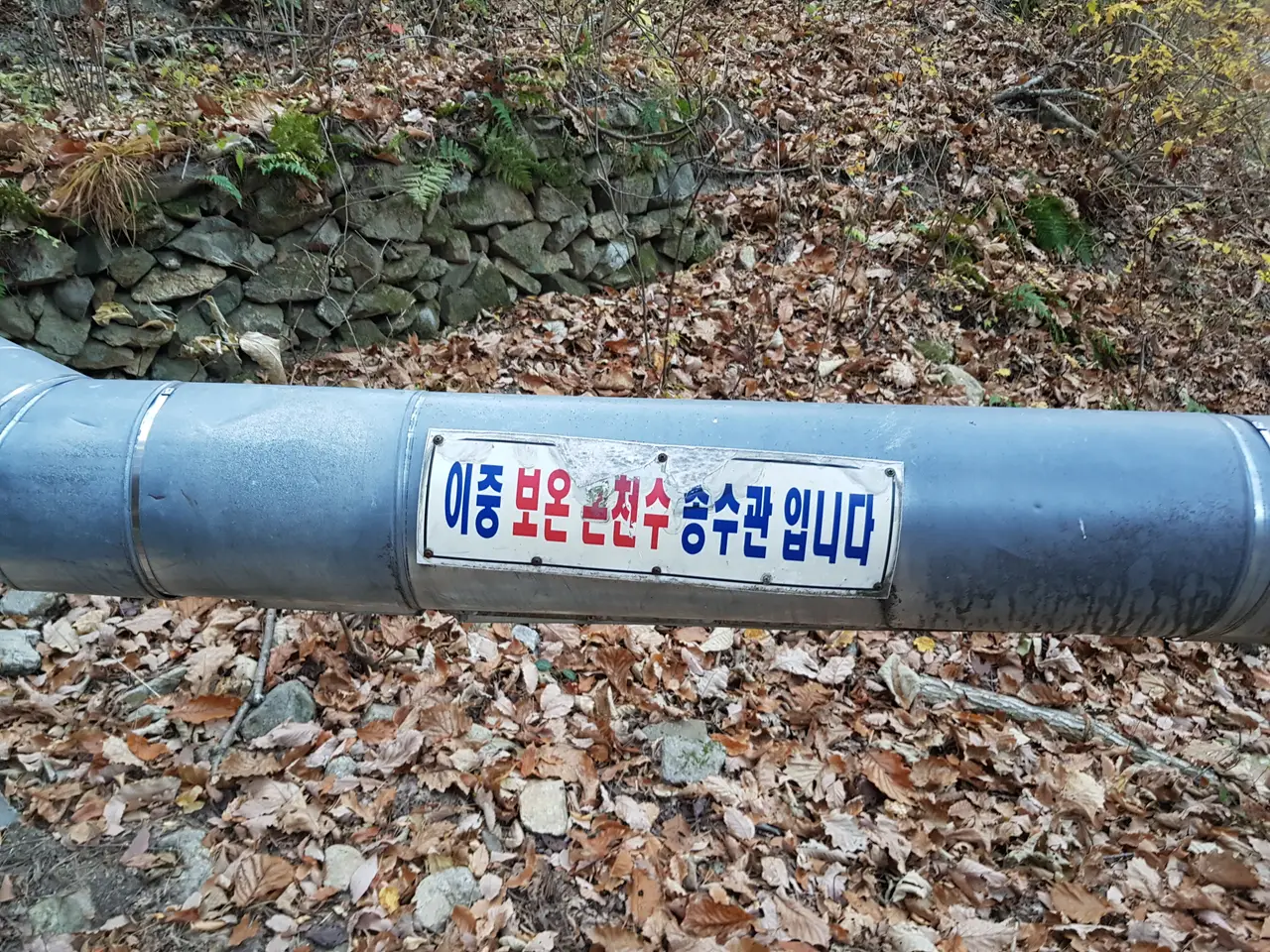 (4점) 울진군 북면 덕구온천. 트래킹 and 온천물 족욕 체험 '덕구계곡' 작업 사진 9
