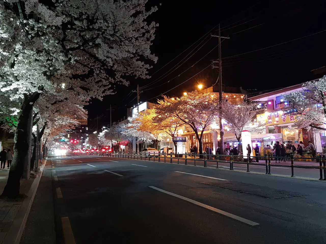 (4점) 이월드 벚꽃 대신하여 다녀온 앞산 벚꽃 로드 (만족!) 작업 사진 18